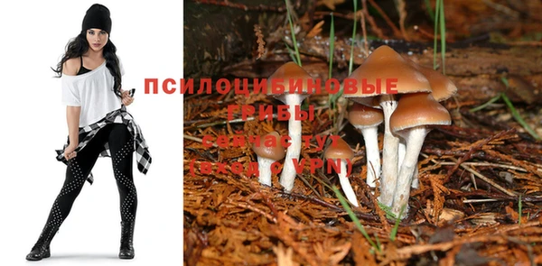 ALPHA PVP Богданович