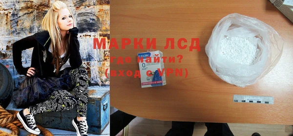 стаф Новозыбков