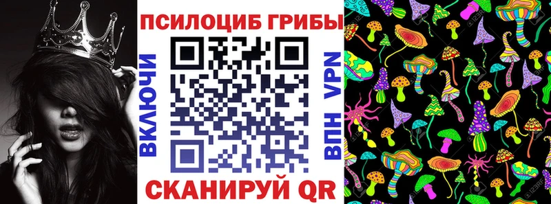 купить наркоту  Жирновск  Галлюциногенные грибы Magic Shrooms 