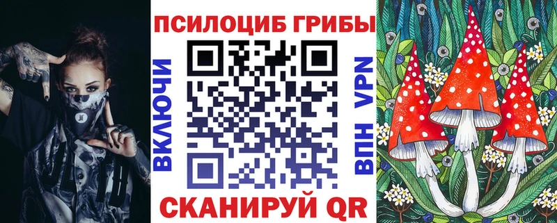 Псилоцибиновые грибы GOLDEN TEACHER Жирновск